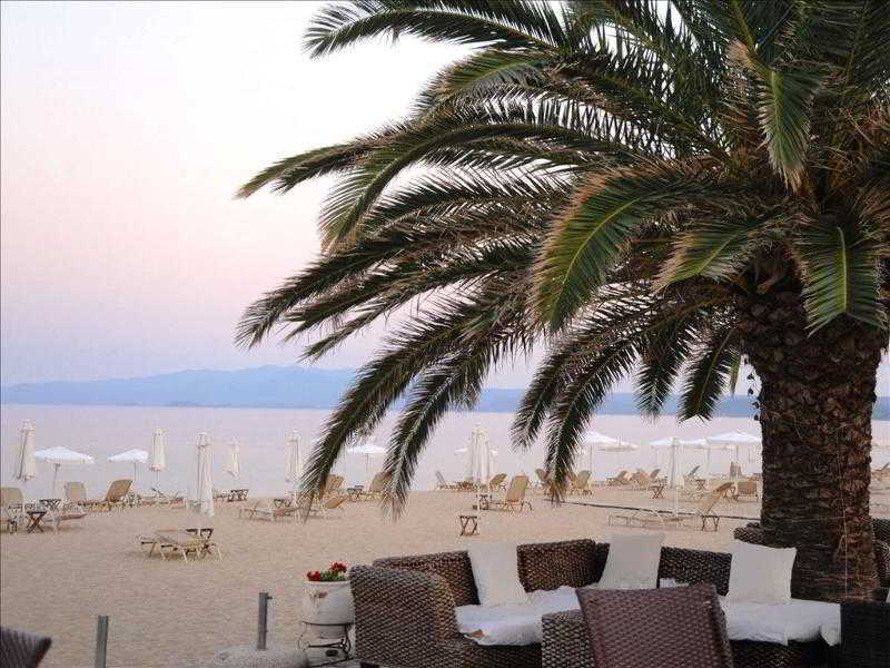 Assa Maris Hotel Chalkidiki Kültér fotó